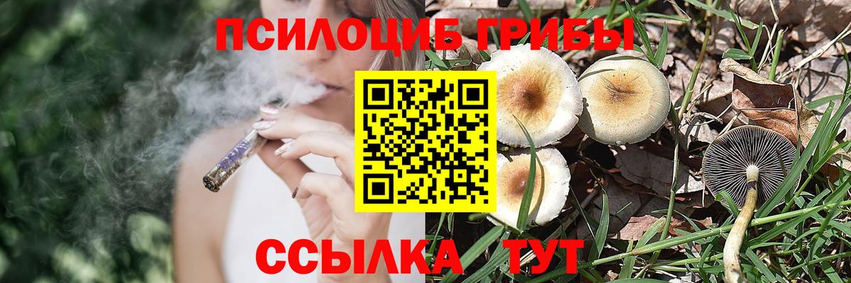 Галлюциногенные грибы Psilocybe  Галлюциногенные грибы Cubensis  Бузулук  Вход с VPN 